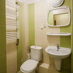 Отель Dafne Zakopane 3* Стандартный номер с различными типами кроватей фото 7