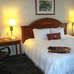 Отель Hampton Inn Columbus I-70E/Hamilton Road 2* Стандартный номер с различными типами кроватей фото 2