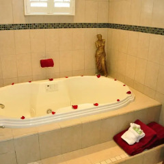 Отель The Eagle Inn 3* Номер Делюкс с различными типами кроватей фото 5