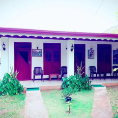 Sylvester Villa Hostel Negombo Номер категории Эконом с различными типами кроватей фото 9