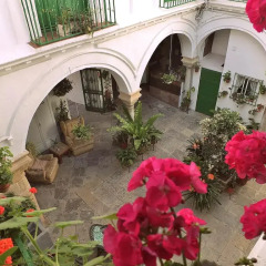Отель Apartamentos Jerez Испания, Херес-де-ла-Фронтера - отзывы, цены и фото номеров - забронировать отель Apartamentos Jerez онлайн фото 2