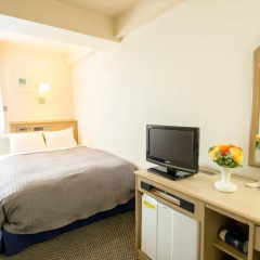 Grand Park Hotel Panex Chiba Тиба удобства в номере фото 2