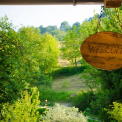 Отель Albero del Kiri B&B Каваньола