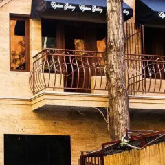 Elysium Gallery Hotel 3* Номер категории Эконом с 2 отдельными кроватями фото 25