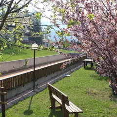 Hotel Edelweiss Форни-ди-Сопра фото 7