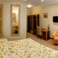 Гостиница Швейцарский 4* Стандартный номер 2 отдельные кровати фото 9