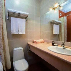 Гостиница Ателика Гранд Меридиан 3* Стандартный номер с двуспальной кроватью фото 8