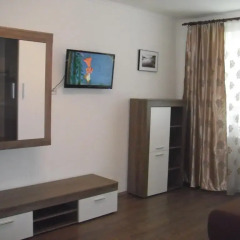 Отель Apartman Sofije Чехия, Карловы Вары - отзывы, цены и фото номеров - забронировать отель Apartman Sofije онлайн удобства в номере
