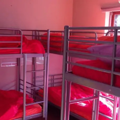 Отель Pinetree Guesthouse Сеул интерьер отеля