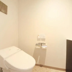Richmond Hotel Tokyo Suidobashi 3* Улучшенный номер с различными типами кроватей фото 4