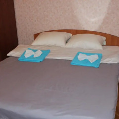 Like Hostel Коломна комната для гостей фото 5