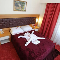 Forest Park Hotel в номере