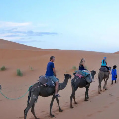 Отель Camp Zagora Марокко, Загора - отзывы, цены и фото номеров - забронировать отель Camp Zagora онлайн спортивное сооружение