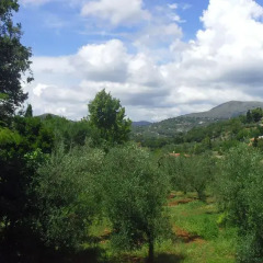 Отель In Collina Al Mare Di Sperlonga Итри фото 16