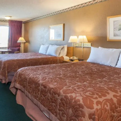 Отель Super 8 by Wyndham Lindsay Olive Tree 2* Стандартный номер с различными типами кроватей фото 5