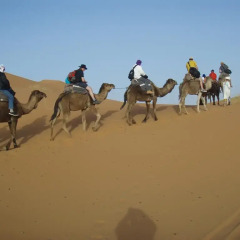 Отель Merzouga Camp Марокко, Мерзуга - отзывы, цены и фото номеров - забронировать отель Merzouga Camp онлайн пляж фото 2
