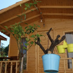 Отель Cilek Butik Otel 3* Бунгало фото 26
