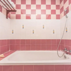 Отель Tony Resort 3* Номер Делюкс двуспальная кровать