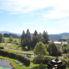 Отель Sport- & Wellnesshotel Angerhof