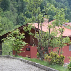 Ayder Hasimoglu Hotel 3* Вилла Делюкс фото 8