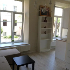 Апартаменты IGo apartment Uzupis в номере