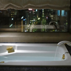 Dai-ichi Hotel Tokyo 4* Улучшенный номер с различными типами кроватей