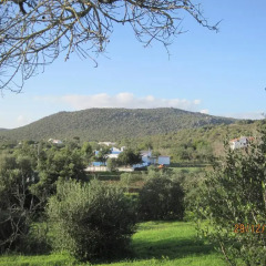 Отель Quinta do Monte em Moncarapacho фото 2