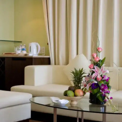 ParkView Hotel 4* Номер Делюкс с различными типами кроватей фото 13