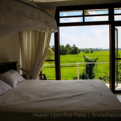 Отель Heaven Upon Rice Fields Шри-Ланка, Анурадхапура - отзывы, цены и фото номеров - забронировать отель Heaven Upon Rice Fields онлайн комната для гостей фото 5