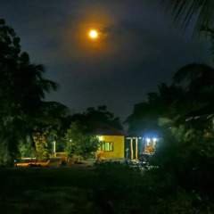 Отель Heina Nature Resort & Yala Safari 2* Шале с различными типами кроватей фото 19