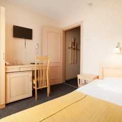 Tia Hotel 3* Стандартный номер с различными типами кроватей фото 3