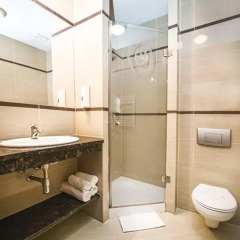 Hotel Jasek 3* Номер Делюкс с разными типами кроватей фото 8
