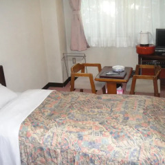 Hakuba Park Hotel 2* Стандартный номер фото 4