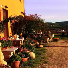 Отель B&B Aesis La Dolce Collina Джези фото 12
