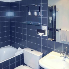 Отель Hôtel Mercure Lyon Centre Brotteaux Франция, Лион - отзывы, цены и фото номеров - забронировать отель Hôtel Mercure Lyon Centre Brotteaux онлайн ванная