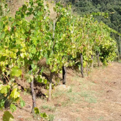 Отель Quinta Das Escomoeiras Амаранте фото 3