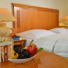 Отель Domicil Berlin By Golden Tulip 4* Стандартный номер фото 5