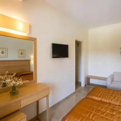 Delfinia Hotel 4* Стандартный номер с различными типами кроватей фото 3