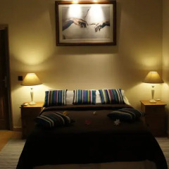 Отель Regina Suite Lodge комната для гостей фото 5