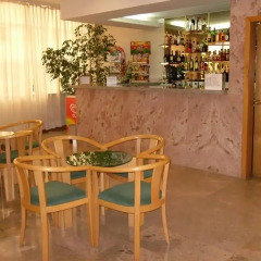 Grande Hotel Dom Dinis гостиничный бар