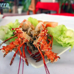Aparta Hotel Azzurra Стандартный номер фото 2