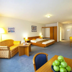 Centro Hotel Celler Tor 3* Стандартный номер с различными типами кроватей фото 3