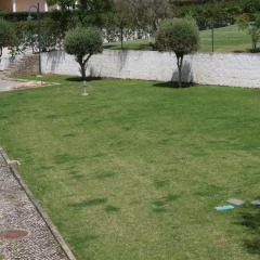 Отель Apartamentos Santa Teresinha