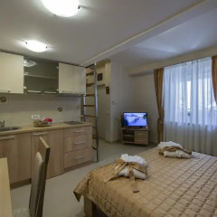 Апартаменты Apartments Jevtic Улучшенные апартаменты с различными типами кроватей фото 4