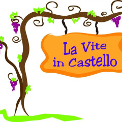 Отель La Vite In Castello Монтескудаио детские мероприятия