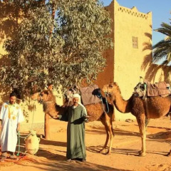 Отель Maison Adrar Merzouga Марокко, Мерзуга - отзывы, цены и фото номеров - забронировать отель Maison Adrar Merzouga онлайн фото 2