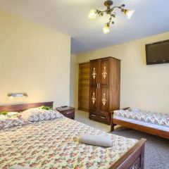 Отель Apartamenty i Pokoje w Willi na Ubocy Номер Делюкс фото 7