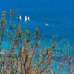Апарт-отель Seaside