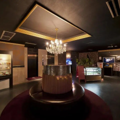 Hotel Chambery интерьер отеля фото 2