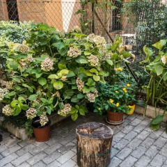 Отель Residenza Barriera Bixio Парма